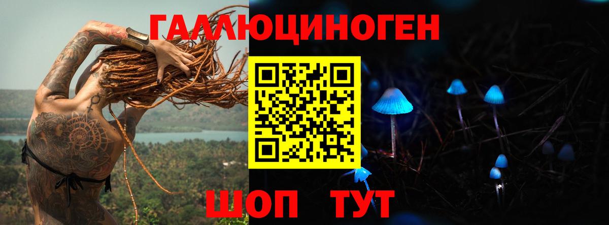 где продают наркотики  Вход с VPN  Мелеуз  Псилоцибиновые грибы Psilocybine cubensis 